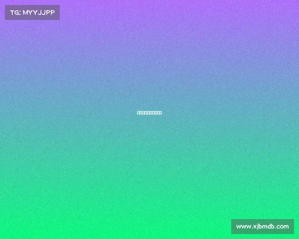 日本篮球联赛比分赛程